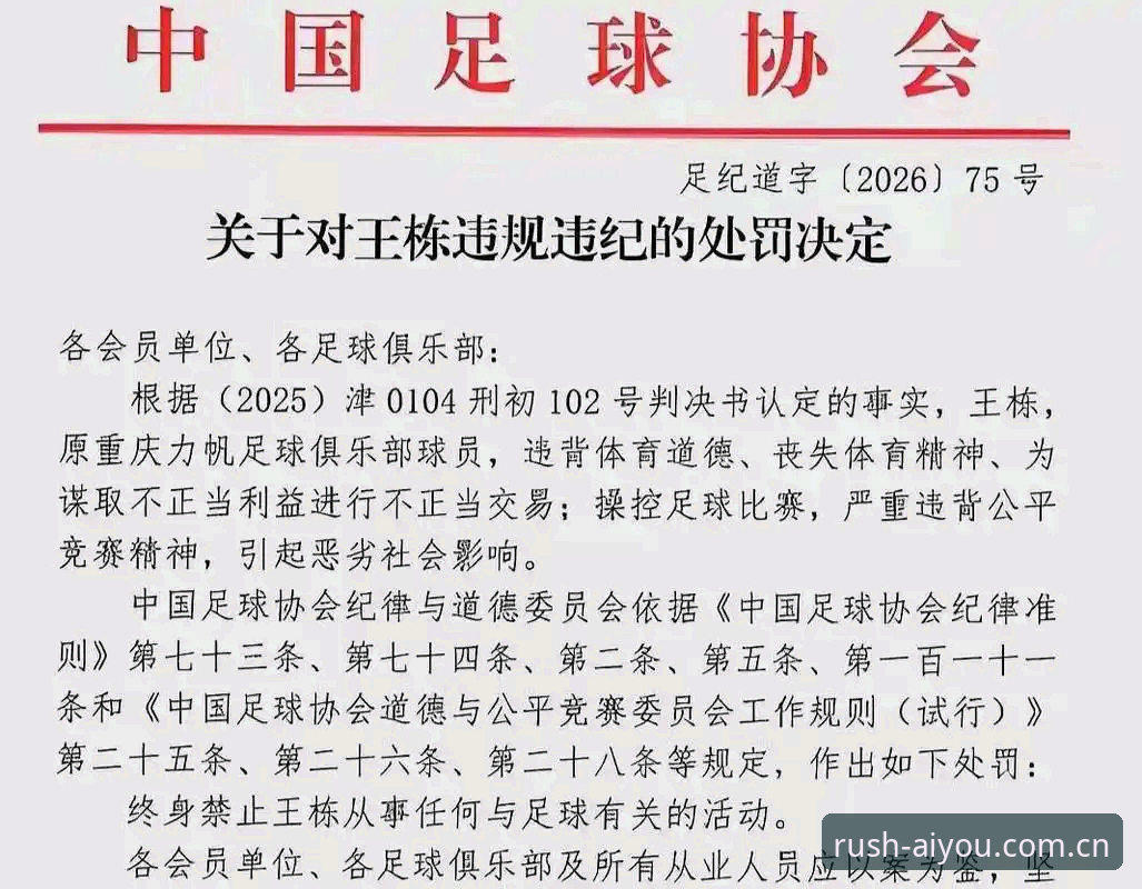 爱游戏数据服务哪个好 中国足协第三批禁足名单深度评测:65人行业处罚背后的足球生态重构